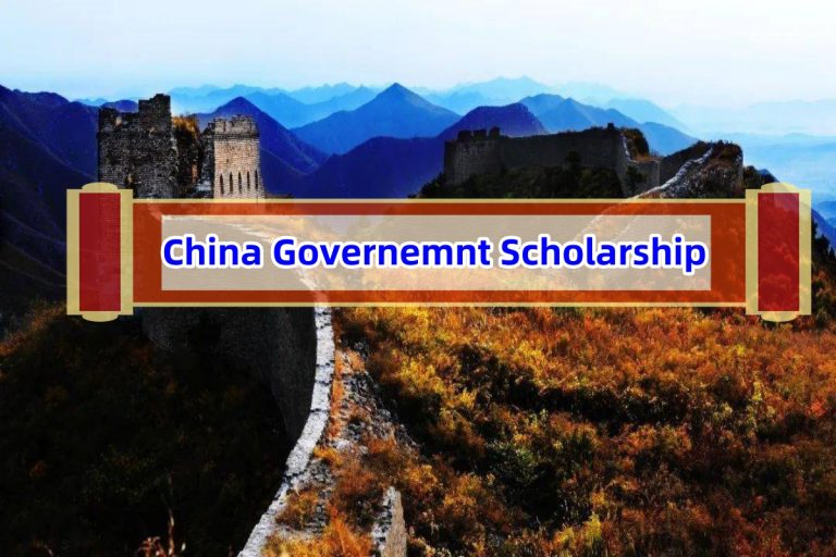 china goverment scholarship