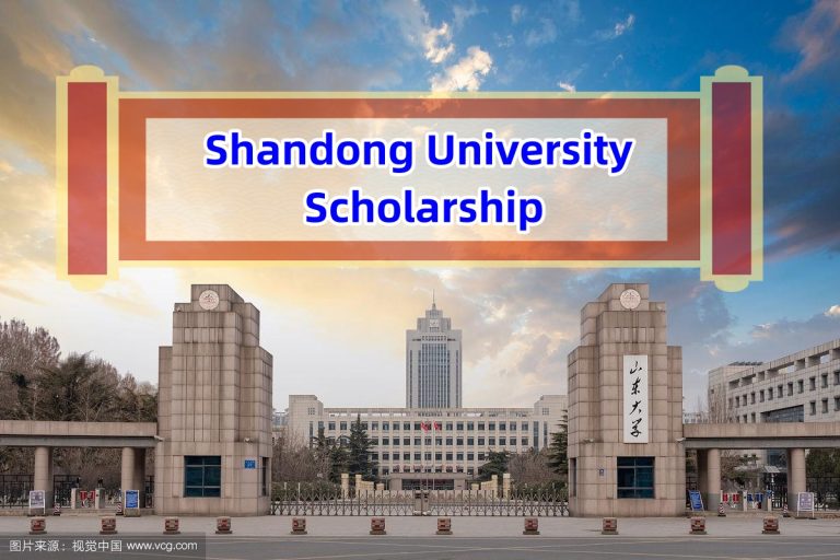 Shandong University Scholarship